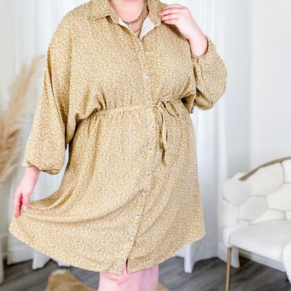 Davi & Dani button down shirt dress